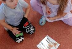 IMG_20251027_095207