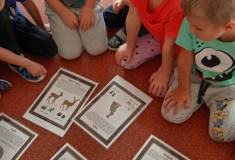 IMG_20251029_092904
