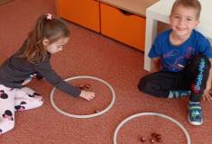 IMG_20251029_093338