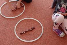 IMG_20251029_093434