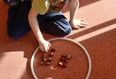 IMG_20251029_093524