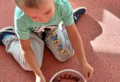 IMG_20251029_093705