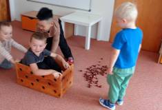 IMG_20251030_100502