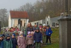 IMG_20251031_104220